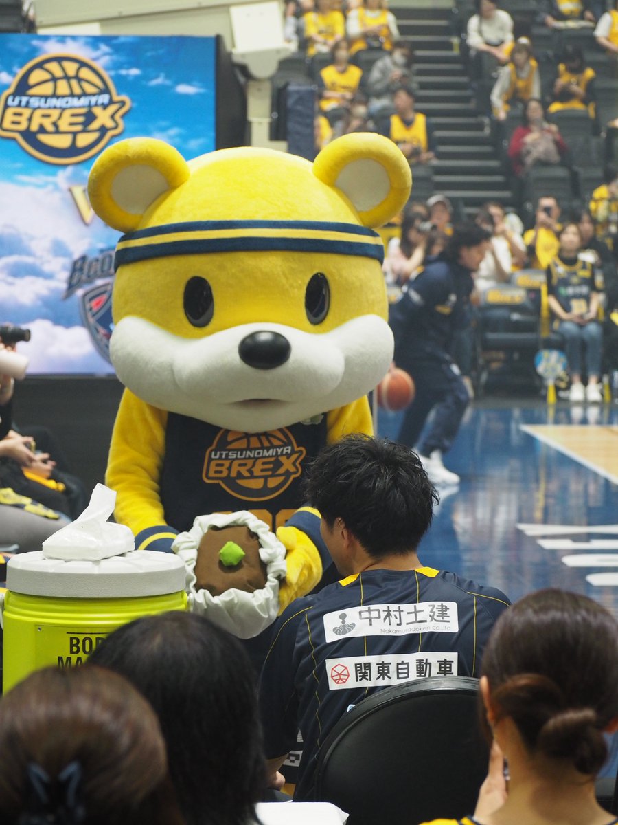 DeepSea1996's tweet photo. 右からシュウマイ　左からシュウマイ(あやされてる？？🐨) https://t.co/JVBN6mIUgU