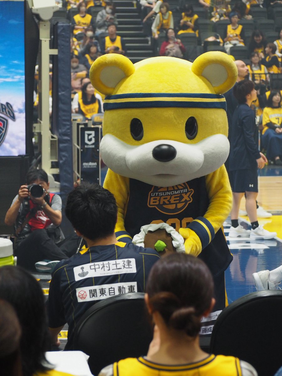DeepSea1996's tweet photo. 右からシュウマイ　左からシュウマイ(あやされてる？？🐨) https://t.co/JVBN6mIUgU