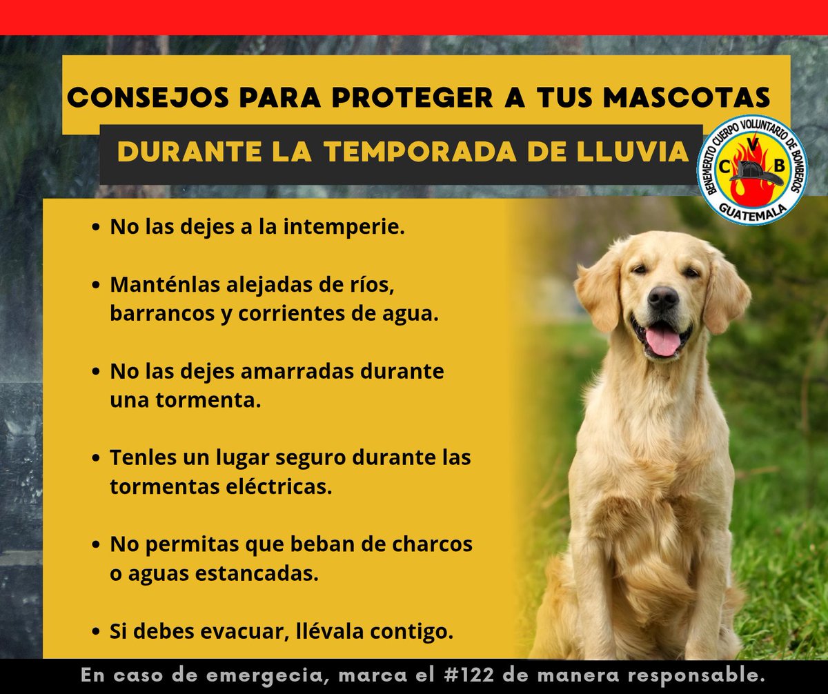 BVoluntariosGT's tweet photo. Durante la lluvia, también cuidemos a nuestras mascotas, es por ello que te compartimos algunas recomendaciones para mantenerlas seguras y protegidas durante las condiciones climáticas adversas. 🐶🐱

#CVBalServicio https://t.co/eILcBUzVKU