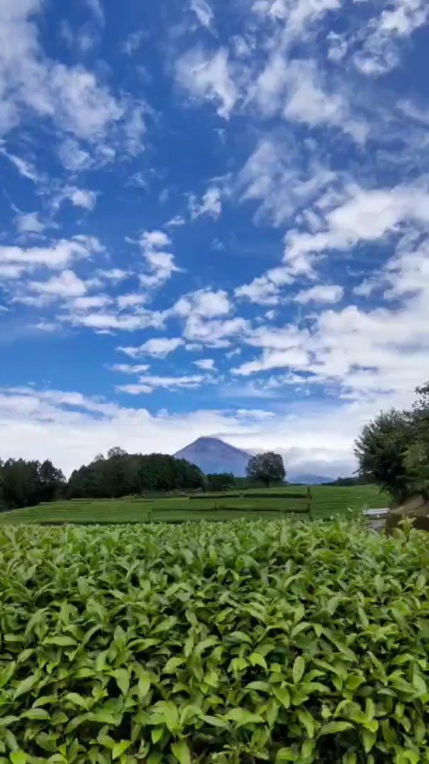 wander_cloud's tweet photo. 大渕笹場
#mtfuji
#fujisan
#mysky
#abovemeonlysky
#everydayisawindingroad
#ontheroadagain
#tankensurujapan
#localguides https://t.co/zPF8zWcZj9