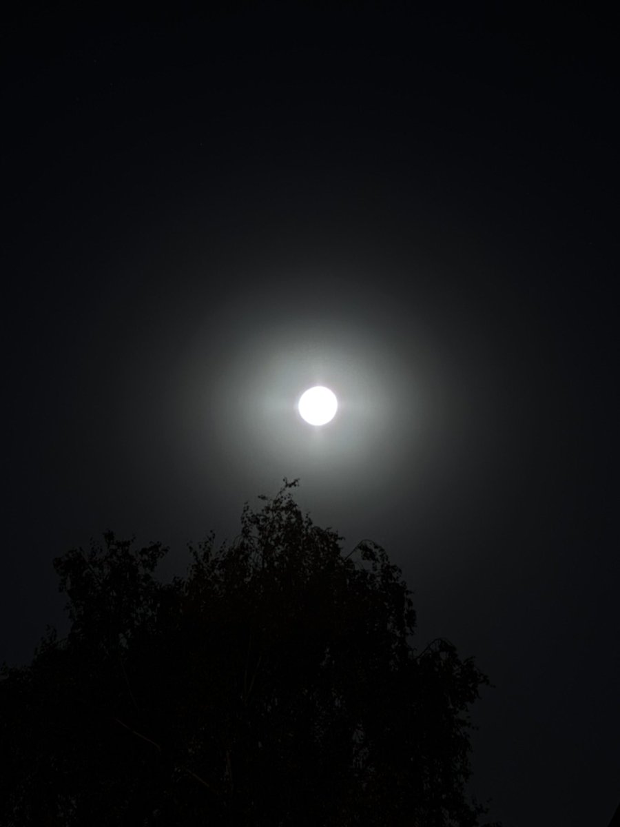 manonskw's tweet photo. comment vous faites pour que la lune soit aussi nette, moi c’est en 144p https://t.co/atJdCiweFq