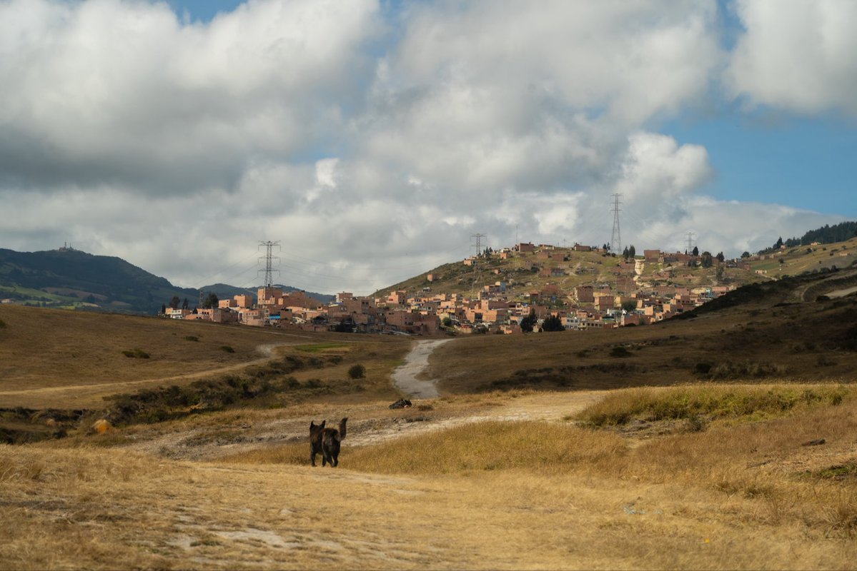 DanielRMed's tweet photo. Muchas gracias a los movimientos ambientales y sociales que me invitaron a cerro seco en Ciudad Bolivar para aprender sobre el ecosistema de subxerofitia. A los ojos de cualquier peñalosista este sería un potrero para urbanizar, pero es un ecosistema mágico, declarado parque ecológico distrital de montaña, hogar de la Alondra cornuda y la orquídea muisca, y aunque es un semidesierto entre sus tierras corren aguas subterráneas como la sangre por nuestras venas.

El cerro del sudor, el viento y la lucha nos enseña a ver y a entender la vida de distintas maneras. Al cerro lo amenaza la codicia de la minería, la disposición de residuos y la expansión urbana; pero acá aprendí que la Alondra es un ave que lucha y que vence.