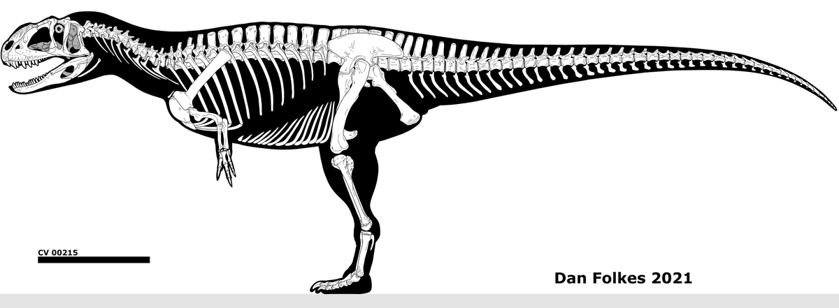 SnowyMoon69's tweet photo. @RottedH Once again, larping Yangchuanosaurus to defend jwe3's design, it's literally in the skull of the animal (last image is a sub adult) https://t.co/y34PyxdWid