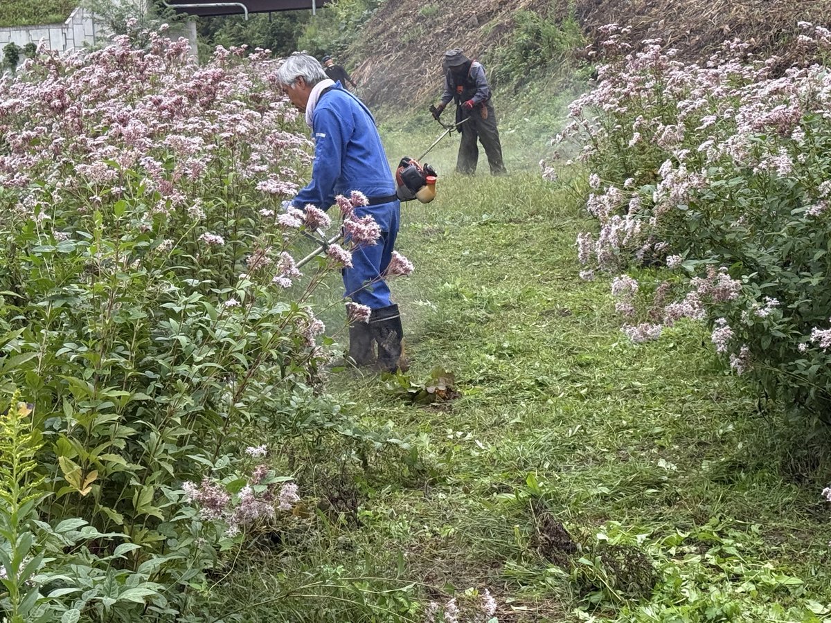 takechan8873's tweet photo. お早うございます。
浅川ダム フジバカマ苑周辺草刈り中です。
どんより曇っています。 https://t.co/zm9La3NxD8