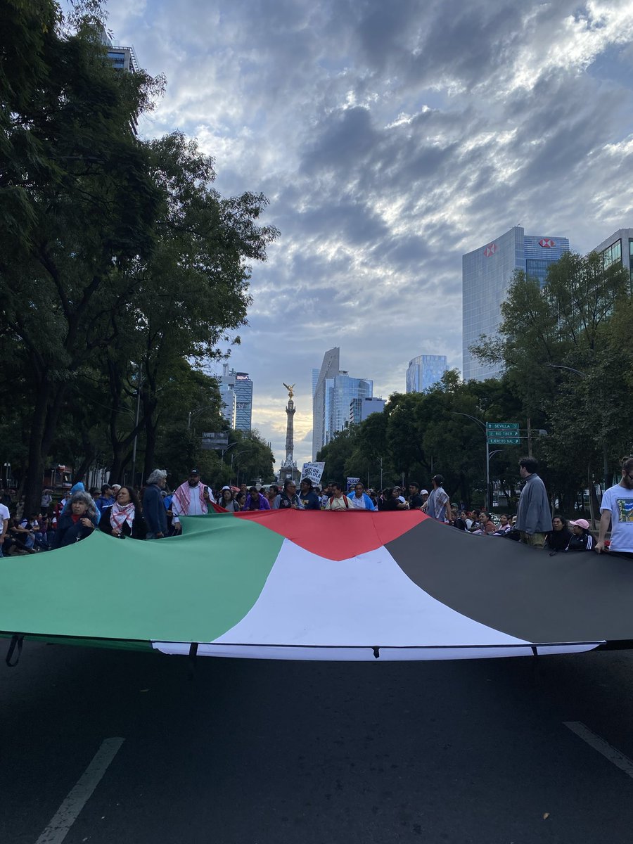 ogeomovs's tweet photo. Ayotzinapa y Palestina, una misma lucha https://t.co/lLrD8XW8Gk