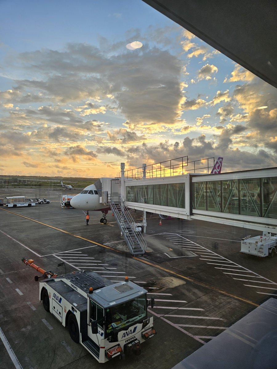 ns1red's tweet photo. 娘と初の飛行機旅行。離陸時は寝れたけど着陸時は耳が痛くて暴れていた😅 https://t.co/t6BAw18NRj