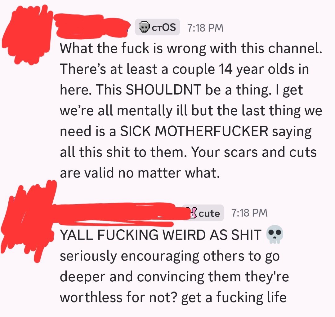 lulucyde1's tweet photo. do NOT join this server, seriously so gross. 17yo encouraging 14yos like are we serious this is disgusting. #shrtwt https://t.co/a8N7t4kYve