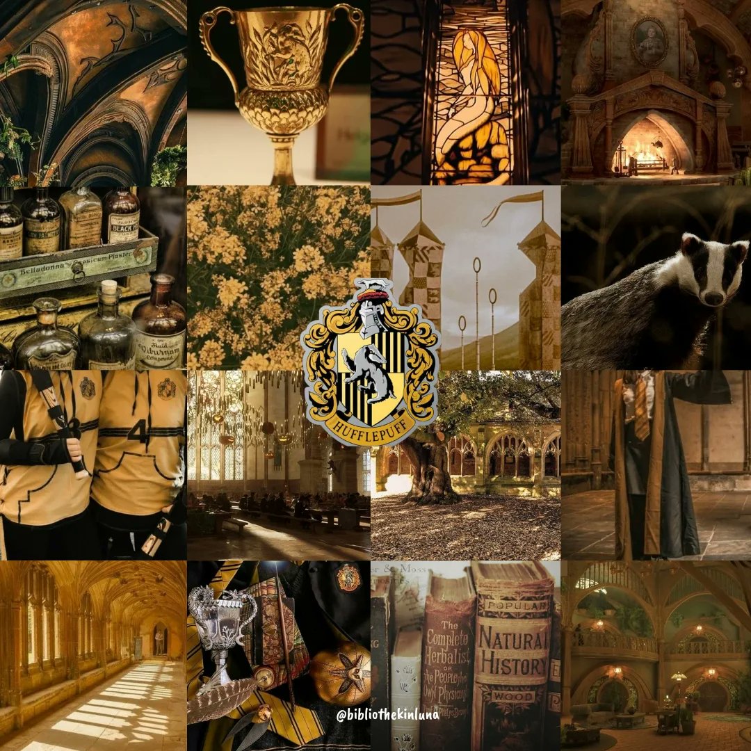 MagaliGallgj's tweet photo. Harry Potter Series ~ J. K. Rowling https://t.co/S3mKja9WoK