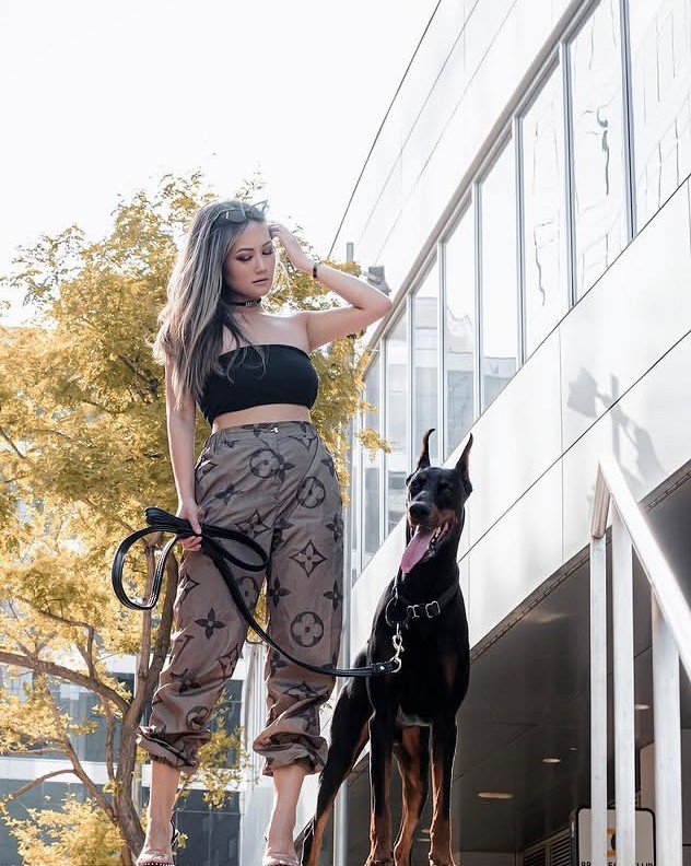 Rebeccafurs's tweet photo. Thanks to everyone of you who followed 
#cyp #dogmom #k9 https://t.co/MEZRaicDJe