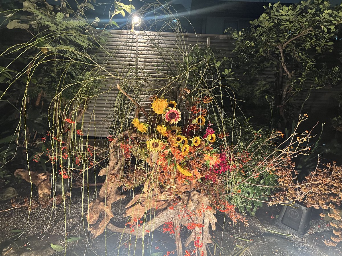 annie_45712's tweet photo. 茶と花の光〜Soul Session 〜
自宅の茶室と庭で茶道と華道の競演、叔母の誕生日イベントを行いました。頭に降りてきたイメージをこのように叶えることができました。背中を押してくれたちかちゃんのおかげ。

その時間を共有した皆様に最大のリスペクトと愛を。愛でしかなかった https://t.co/u4KCGVmSrx
