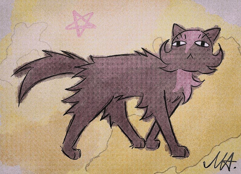masha_box13's tweet photo. more cats

| #dashbored #nashbored | https://t.co/DSW562Yrw6