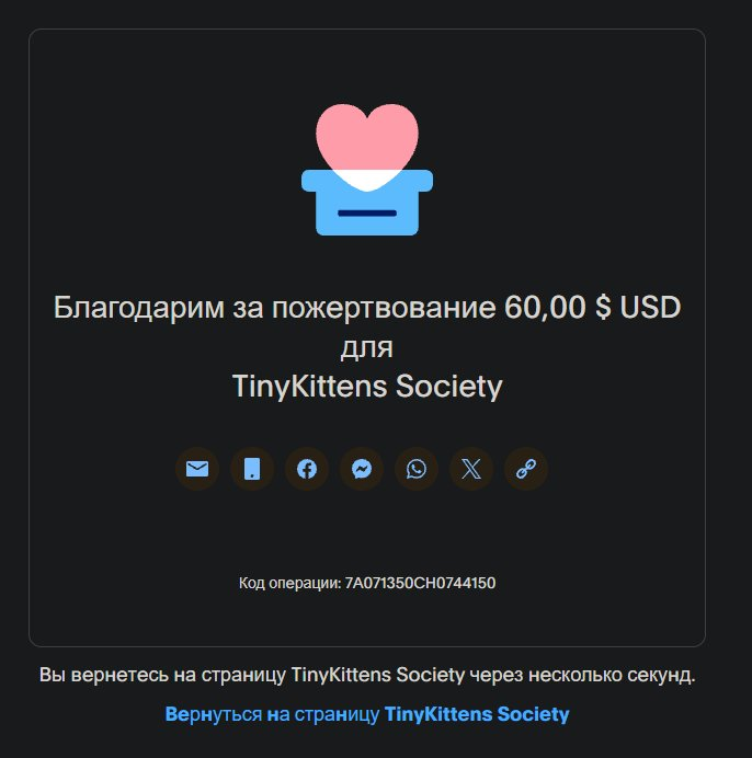 PaidCats's tweet photo. Yeah, i know its not bullish launch, but we did a good deed. Thank you for everyone who bought this launch. https://t.co/xKMy4MeB6u