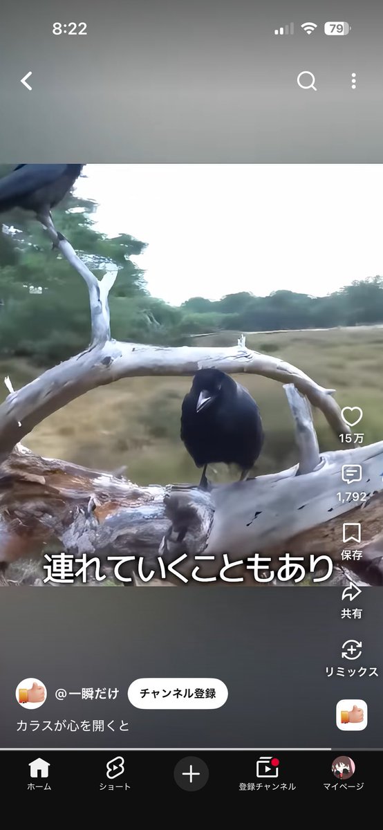 tl_____s's tweet photo. 神話ってまじなんだ https://t.co/v3FTuEePSX