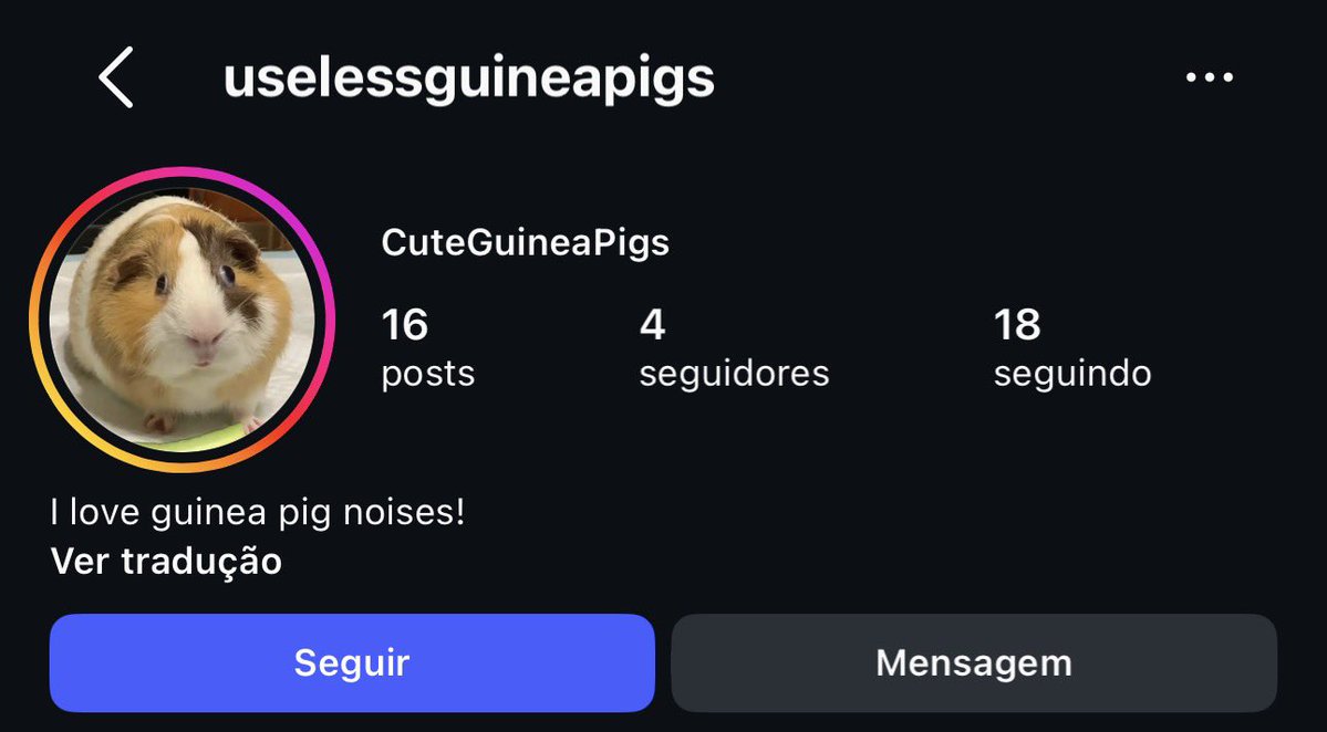 favmanoball's tweet photo. ⚠️⚠️ DENÚNCIA: MAUS TRATOS 

a pessoa por trás desse perfil está publicando fotos/vídeos torturand/ porquinhos-da-índia. além do conteúdo perturbador, a pessoa ainda debocha nas legendas e durante os atos.

denunciem, por favor, como violência -> abuso de animais 

link perfil👇🏻 https://t.co/5gqzKqedQh