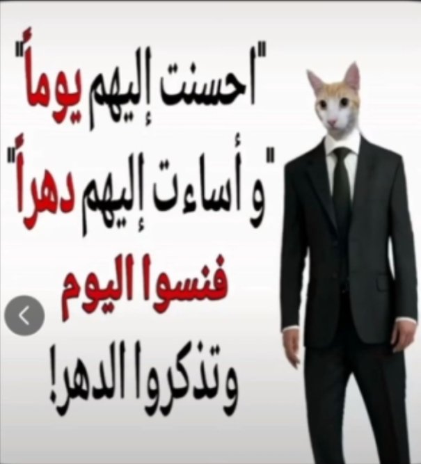 _7lmey's tweet photo. قالها مستر مياو https://t.co/nnK8XL9tjH