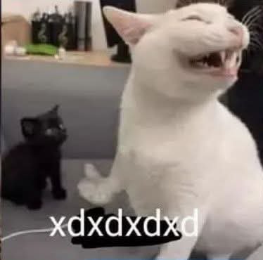 simon_iluminati's tweet photo. @ElSiamesYT @VythsW @elec_humilde XDDDD https://t.co/rC5S2EFUm5