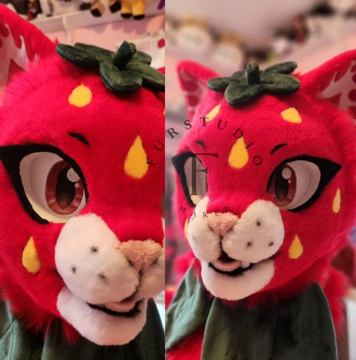 Furstudioo6's tweet photo. 🍓🍓🍓
Commission done! 

Here’s a little look at this adorable custom-made strawberry cat fursuit! 🍓

This one was such a fun project, packed with tiny details and lots of handmade touches. The head alone features 30+ individually hand-sewn and carefully trimmed strawberry seeds! 

So many little details went into bringing this sweet cutie to life! ✨

#FurryFandom #Fursona #Fursuit #FursuitMaker #Furry #FurryCommunity #CustomFursuit #StrawberryCat #CatFursuit #FursuitCommission #FursuitFriday