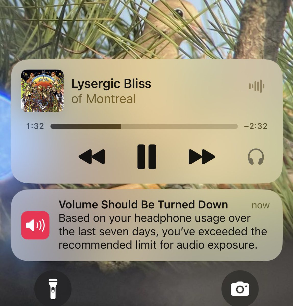 birdbrawns's tweet photo. They say to turn down Of Montreal to demoralize you https://t.co/azw9G9VD5b