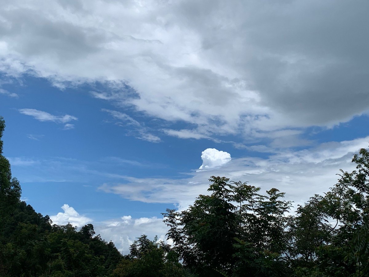 gagaga2437's tweet photo. [Looking up at the clear sky, the cool breeze carries the faint scent of carbon, making this ordinary moment feel so special!] https://t.co/CLfqQgjtw0