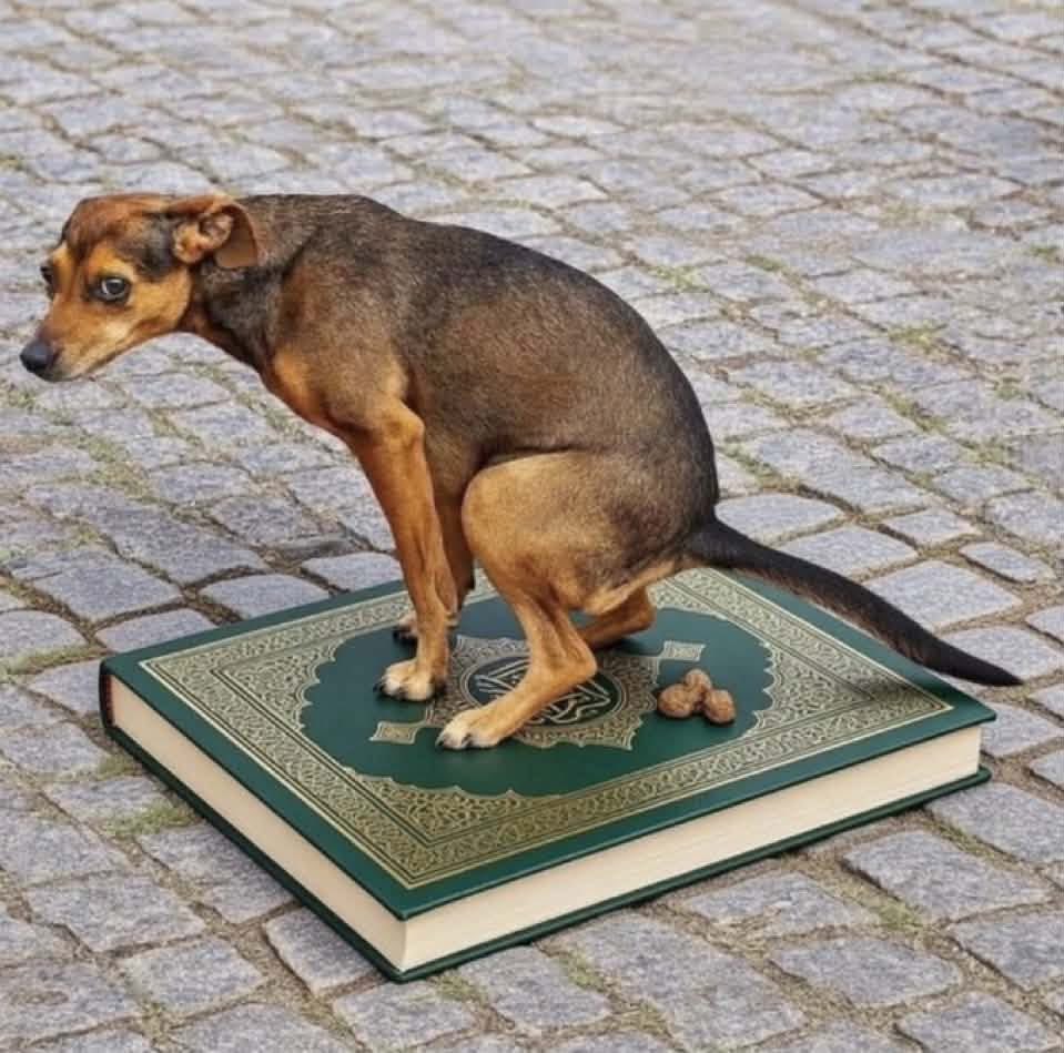 Remi_Grl2's tweet photo. Good boy😂😂 https://t.co/RV2CZpDD2P