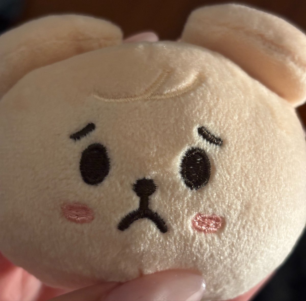 seungbabi's tweet photo. he is upset https://t.co/Wb22MRmsiT