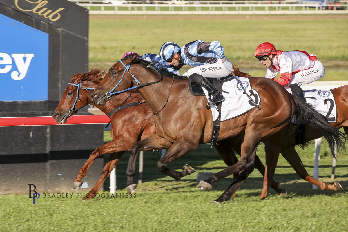 camcrockettrace's tweet photo. Three runners head to @DubboTurfClub today, stepping out across the latter part of the Cup Day card. ✨

🔹 MARVEL MAN 
〰️ 1100m Country Magic CL2 -R7-

🔹 WHERE’STHEPROFIT👇
〰️ 1100m Vincent Gordon 🪽 -R8-

🔹 JAGERSCHNITZEL
〰️ 1300m Showcase BM58 -R10-

✨ Best of luck to all of their owners and connections!