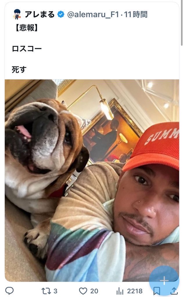 6phLo's tweet photo. うわーん、ついに無断画像、動画使用、動物の命軽視で有名な頭がアレまるくんにブロックされました😢

#f1jp https://t.co/jUCRTKETUd