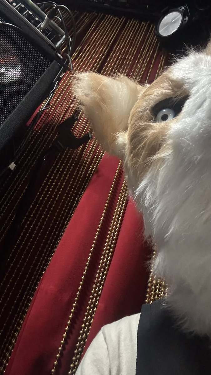 neko_maerchen's tweet photo. “MAJOR” TOUR 2026 
福岡ライブハウス秘密

ソールドアウトありやす🐾

ツアーを重ねてMAJORの新曲たちがどんどん育っていくのがわかりますね🐾

どうぶつチームで食べたラーメン美味しかったな🍜 https://t.co/dy3MniwOxY