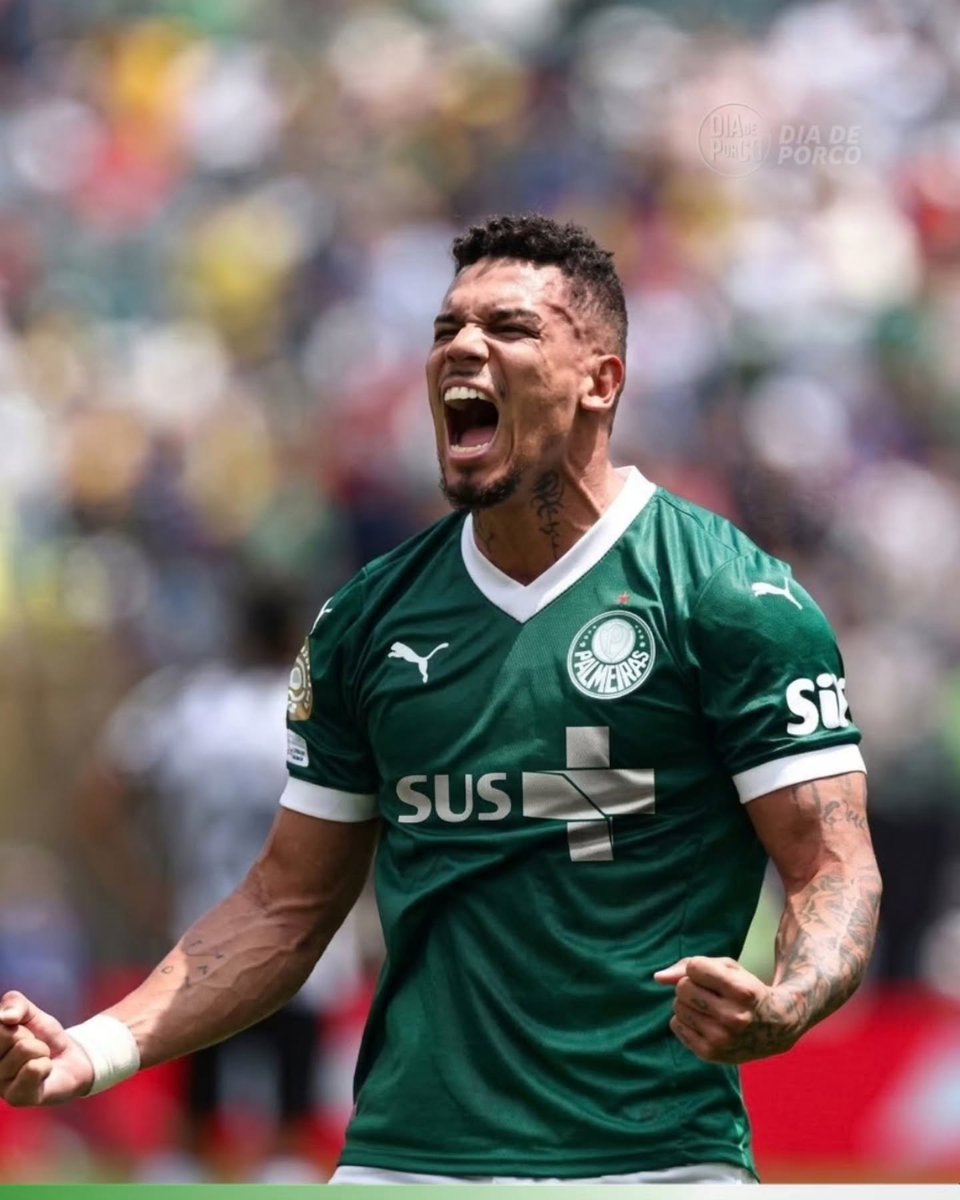 presepadasdasep's tweet photo. 🎉 Palmeiras dá chapéu no Flamengo e consegue primeiro patrocinador SEM BET https://t.co/X44W2xEVRL