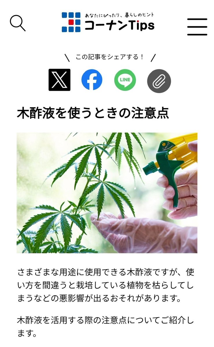 tkzwgrs's tweet photo. 【悲報】ホームセンター コーナンさん、園芸情報サイト上でさらっと“大麻の写真”を使用
多幸感も楽しくDIYへ

https://t.co/RuW0dhp0Xi https://t.co/PQWyXnPB2a