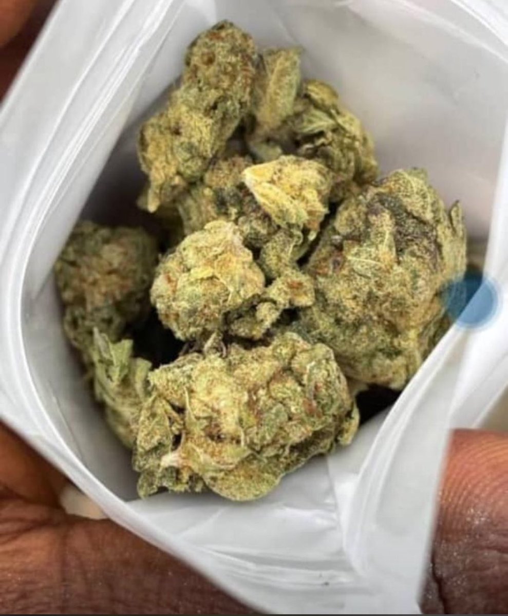 FarmCalikush's tweet photo. My Strains are always my Selling Points. No Cap.100% Delivery to To All Cites in Lagos/Nationwide in Nigeria,Delivery 100% Safe.Fastest Delivery Orders in a good time as fast as possible.Allow me to be your🔌I sell nice strains,Hybrid Sativas.,CaliKush Sells. #weedtwt#  #drugtwt# #LagosIsland# #island# #Stoners exotics available 🚚
Deliver Nationwide Nija .Mainland,Island.WhPP., 09061402866@.   @apOfph1