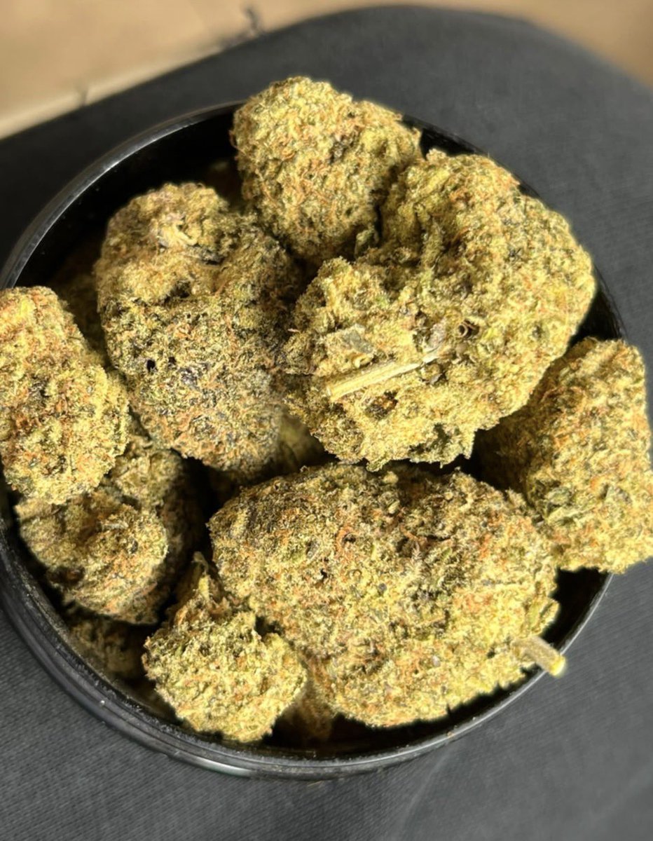 FarmCalikush's tweet photo. My Strains are always my Selling Points. No Cap.100% Delivery to To All Cites in Lagos/Nationwide in Nigeria,Delivery 100% Safe.Fastest Delivery Orders in a good time as fast as possible.Allow me to be your🔌I sell nice strains,Hybrid Sativas.,CaliKush Sells. #weedtwt#  #drugtwt# #LagosIsland# #island# #Stoners exotics available 🚚
Deliver Nationwide Nija .Mainland,Island.WhPP., 09061402866@.   @apOfph1