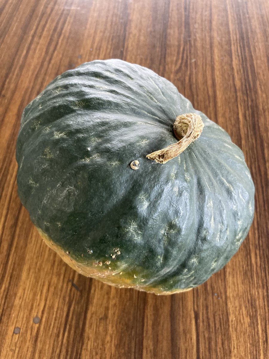 1972koh's tweet photo. 🎃いただいた　立派 https://t.co/MmKUcueVLT