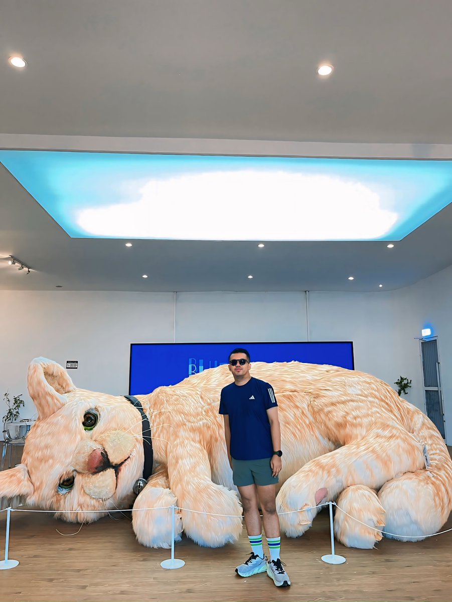 LeonardoLenort's tweet photo. Hello Meuw Meuw Meuw 😂... 📍 @bluebutter. yk https://t.co/RetSUuJKMo
