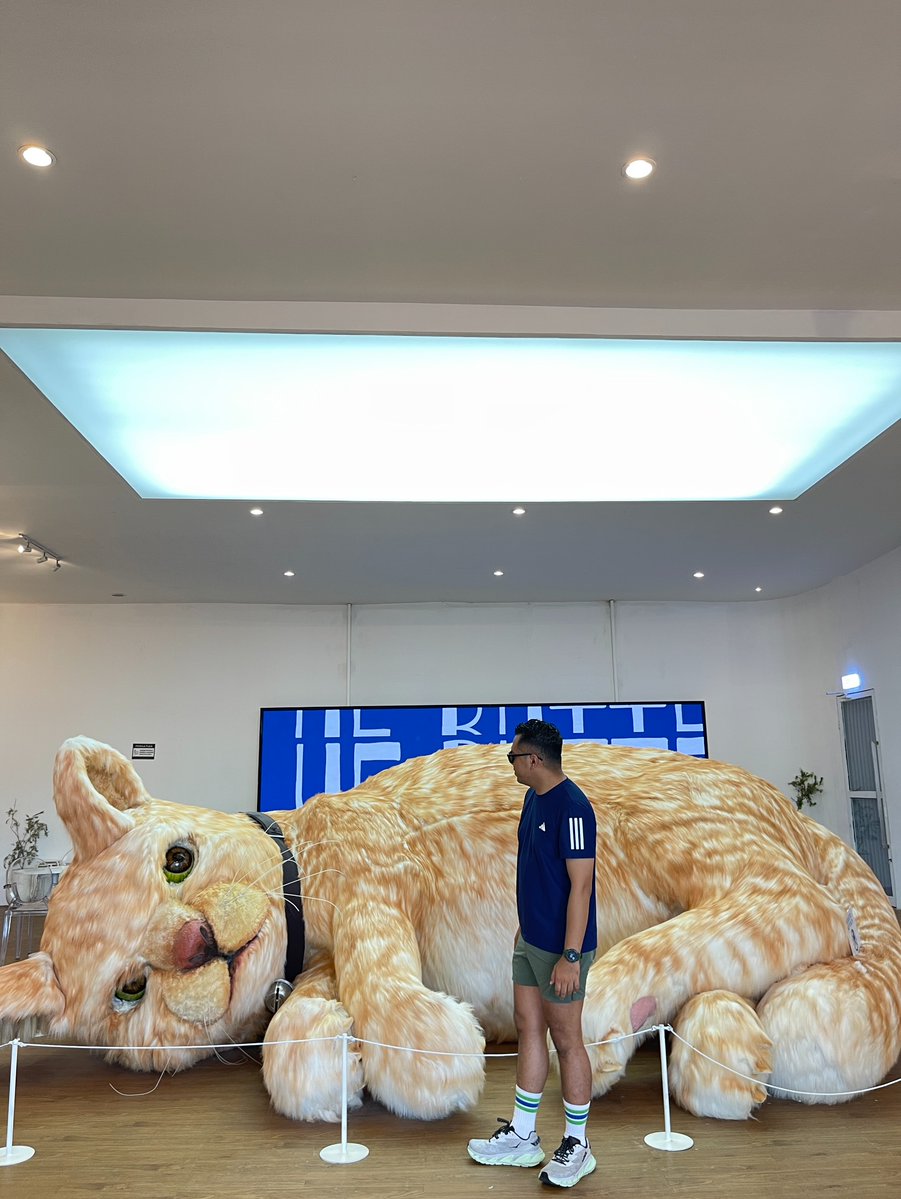 LeonardoLenort's tweet photo. Hello Meuw Meuw Meuw 😂... 📍 @bluebutter. yk https://t.co/RetSUuJKMo