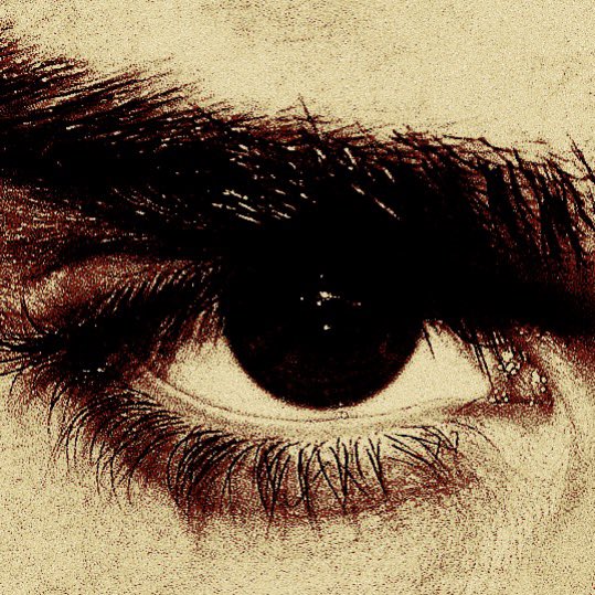 bravelibido's tweet photo. ‍‍ ‍‍
 ‍‍ ‍‍quidditch captain.
 ‍‍ ‍‍cedric diggory.
 ‍‍ ‍‍dd;dne / taboo topics.
 ‍‍ ‍‍ https://t.co/bfiMblwhkv