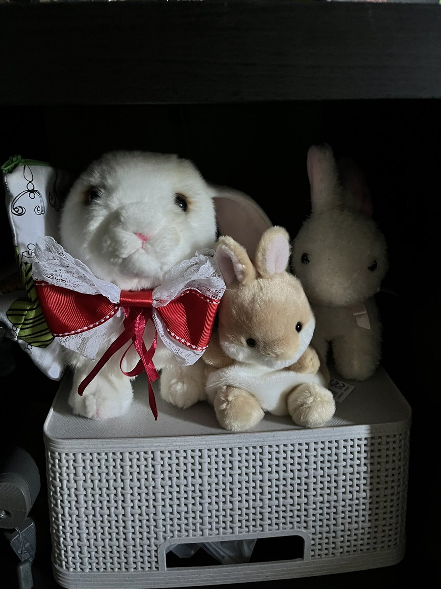 usapyonaeri's tweet photo. Happy Bunny Day! https://t.co/Ax3XsPOBaK