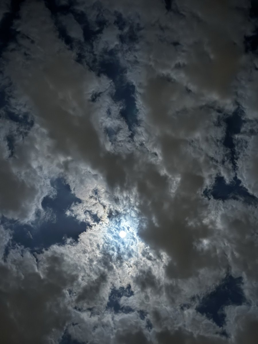 Vip0399's tweet photo. #تصويري

وَمن كَان يهوىٰ جَمال القَمر
  مُحالٌ بأن يلتَفِـت للنّجُـوم https://t.co/cJMcKl0VIa