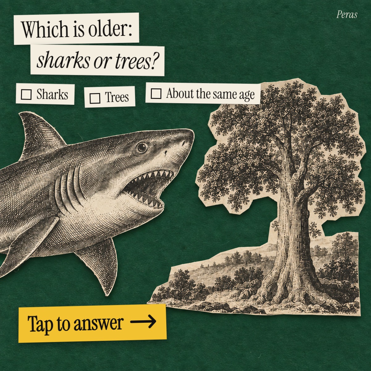 PerasApp's tweet photo. Both feel ancient. One is much older.

Which is older: sharks or trees?

Tap to answer.