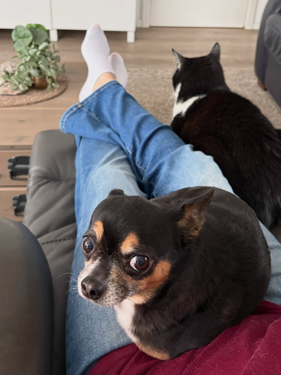 EttaPiech's tweet photo. Good morning! The three of us are already going over today’s plans. https://t.co/96Giq2sIee