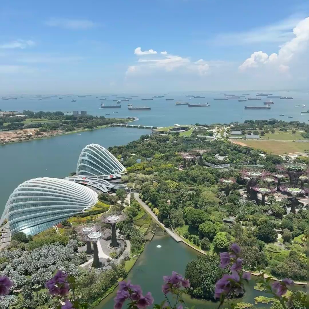 SilvanaLoden's tweet photo. Afternoon tea in Singapore is truly delightful. https://t.co/1ecn7f3uWN