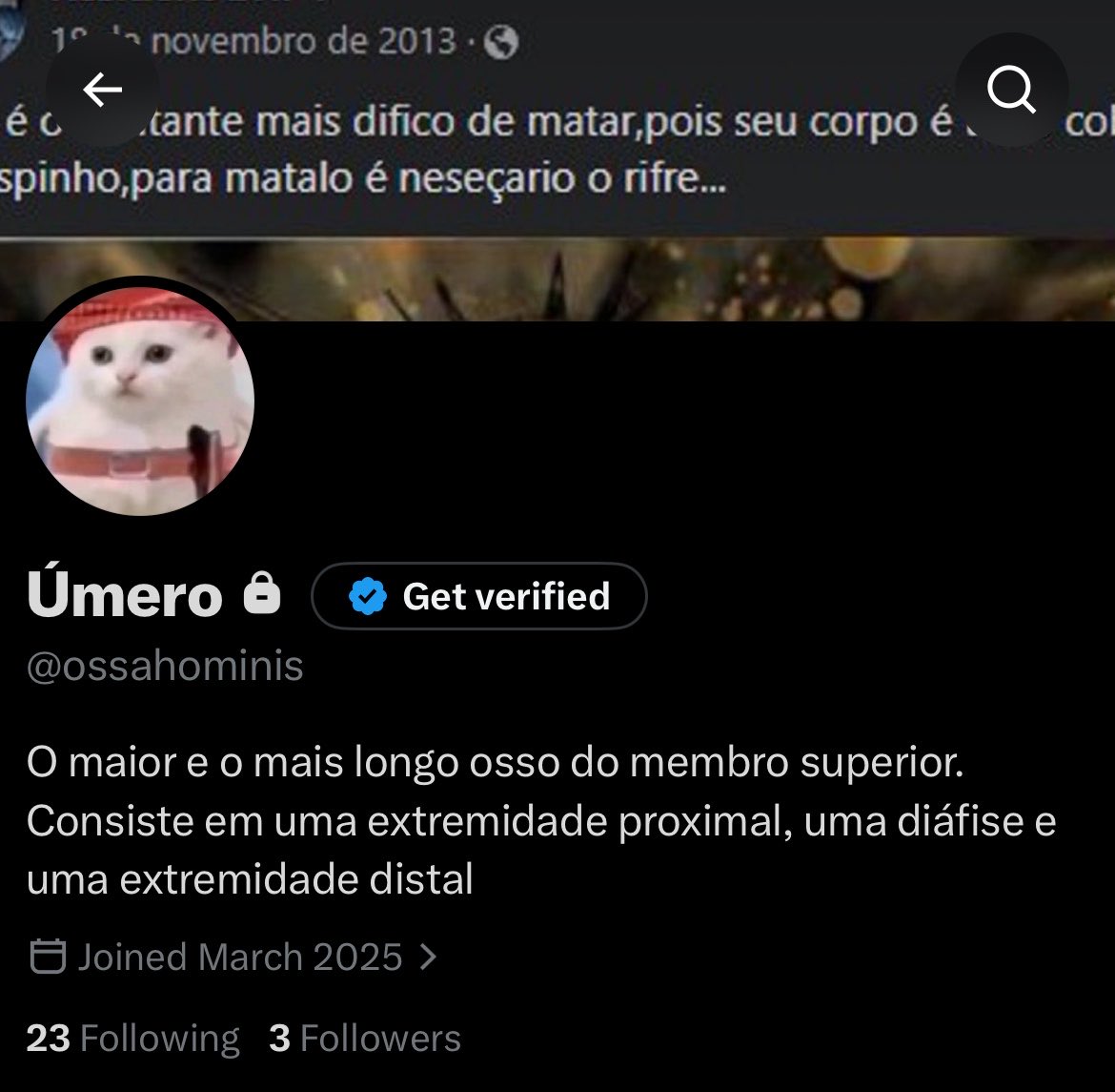 ossahominis's tweet photo. eu i ela @devillyu https://t.co/hazNcNmFM8