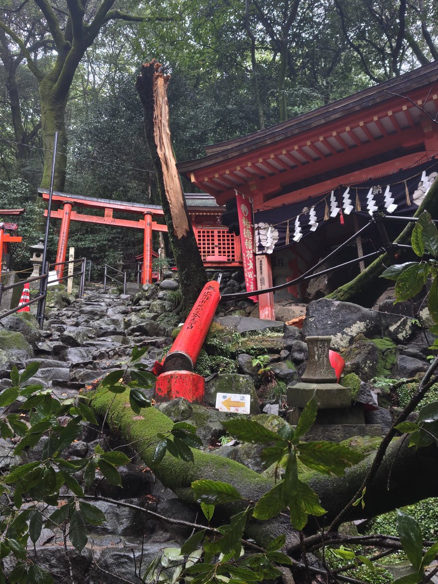 bunshi1016's tweet photo. 奥の院､通れなそうなので､断念しました
険しいと聞いてたけど木も鳥居も折れて
変なので、神社の人に連絡をしましたよ
サキちゃん、ピンモンさん(しぇりーさん)
雷も少しゴロゴロだし、登るのは今度ね
浜地酒造のシャツまだ着てて地元民？と
間違えられたが
ゾンサガ好き鹿児島ゾンビィ､カシコです https://t.co/j2qkEbe0xg