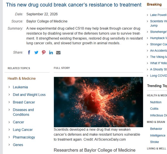 mcdevvin's tweet photo. The cure to cancer just dropped holy shit this is genny.

Researchers at Baylor College of Medicine just developed an experimental compound called CS18 that targets a key cancer protein and can apparently make resistant cancer cells sensitive to existing treatments.

They're based in the US and have an X account @bcmhouston which means we can send them fees.

Article:
https://t.co/WF2fBy56Zb