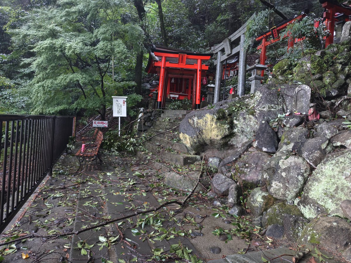 bunshi1016's tweet photo. 奥の院､通れなそうなので､断念しました
険しいと聞いてたけど木も鳥居も折れて
変なので、神社の人に連絡をしましたよ
サキちゃん、ピンモンさん(しぇりーさん)
雷も少しゴロゴロだし、登るのは今度ね
浜地酒造のシャツまだ着てて地元民？と
間違えられたが
ゾンサガ好き鹿児島ゾンビィ､カシコです https://t.co/j2qkEbe0xg