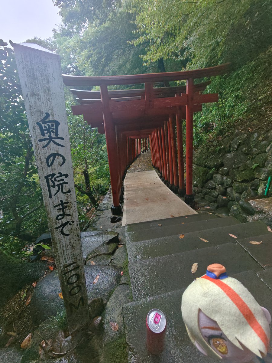 bunshi1016's tweet photo. 奥の院､通れなそうなので､断念しました
険しいと聞いてたけど木も鳥居も折れて
変なので、神社の人に連絡をしましたよ
サキちゃん、ピンモンさん(しぇりーさん)
雷も少しゴロゴロだし、登るのは今度ね
浜地酒造のシャツまだ着てて地元民？と
間違えられたが
ゾンサガ好き鹿児島ゾンビィ､カシコです https://t.co/j2qkEbe0xg