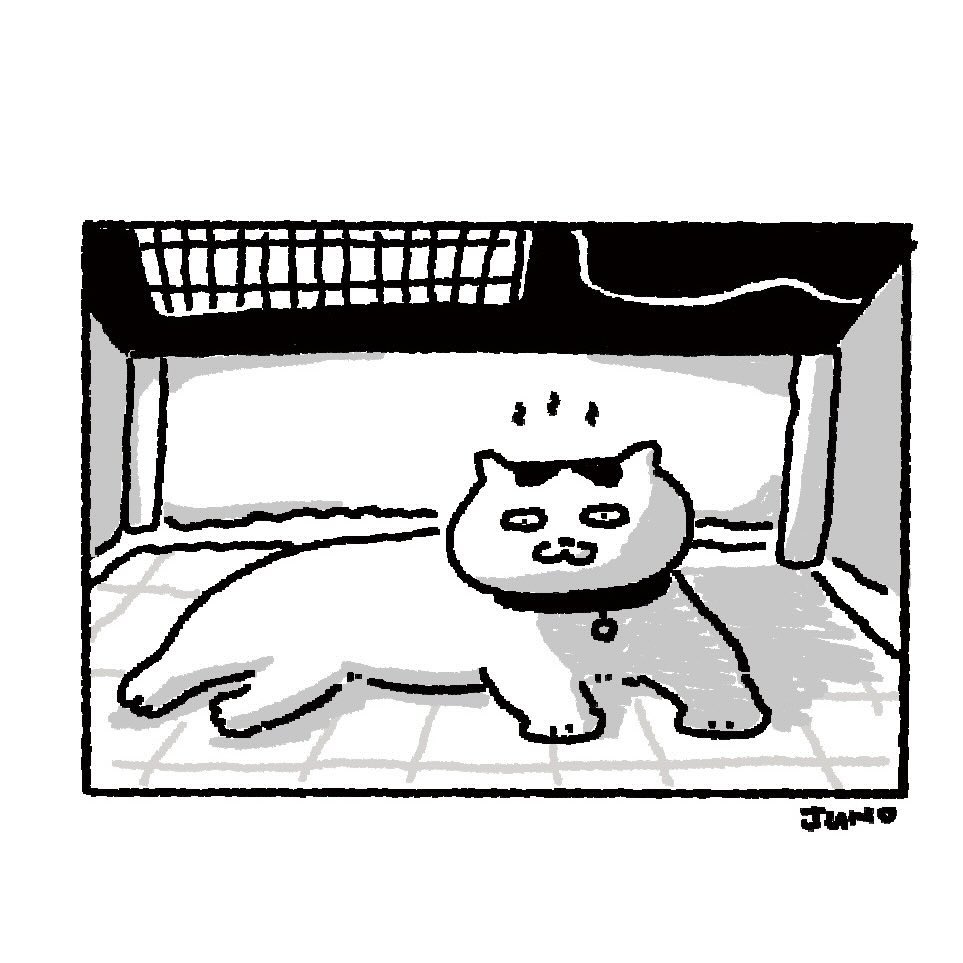 xmenjunoAppJP's tweet photo. 🔥
 #イラスト #猫 https://t.co/Y5cc1b7kGM