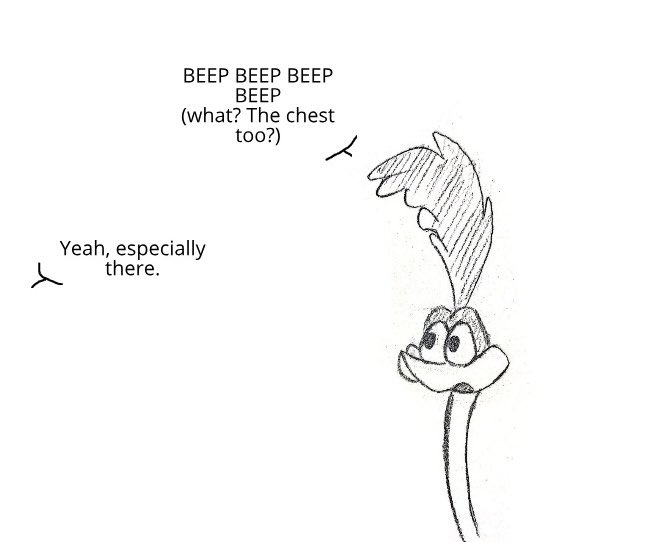 karmatsu_9's tweet photo. The Road Runner will be terribly disappointed when he discovers that all of that is fur. #wileroad #wilerunner https://t.co/iLSvxEGYbm