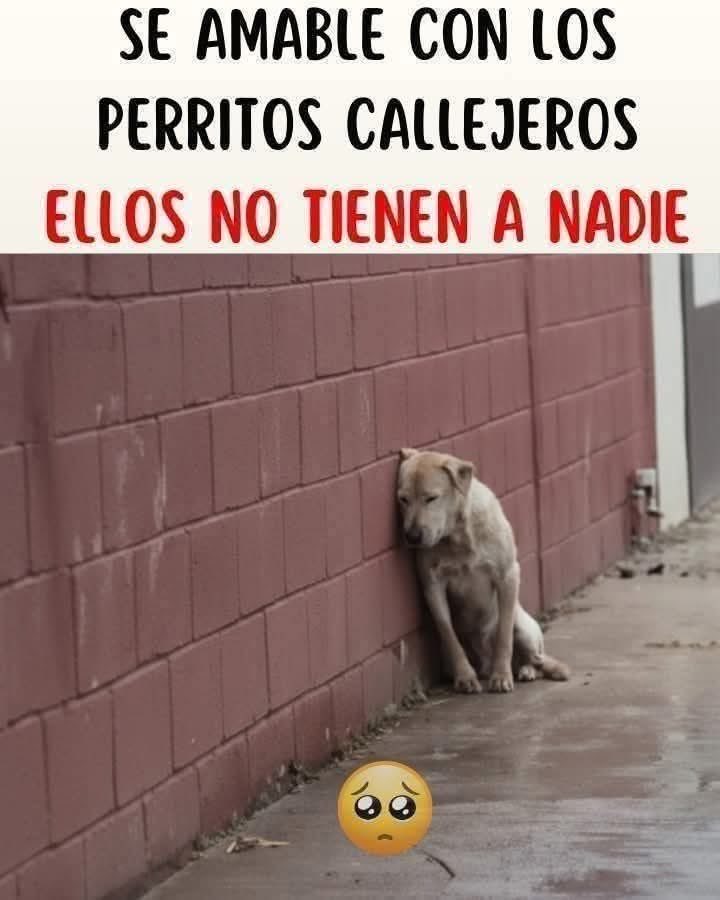 marq31995's tweet photo. No te pido que los quieras https://t.co/6nqaqxdd7e