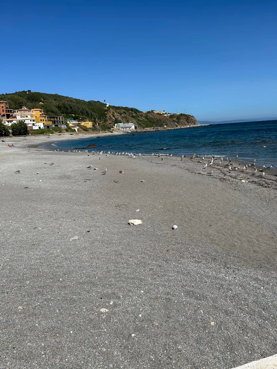 antifazcaballa's tweet photo. Y antes de dormir... ¿Cuando volveremos a ver nuevamente el trampolín así?

Y recuerden siempre que Ceuta no se vende, Ceuta se defiende porque #CeutaEsEspaña https://t.co/lRVuv1MV4E